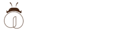 1adybug International